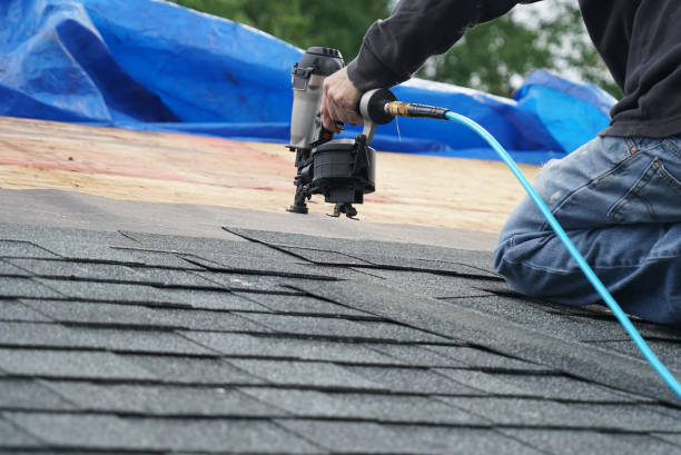 Best Roof Leak Repair  in Sheridan, IL
