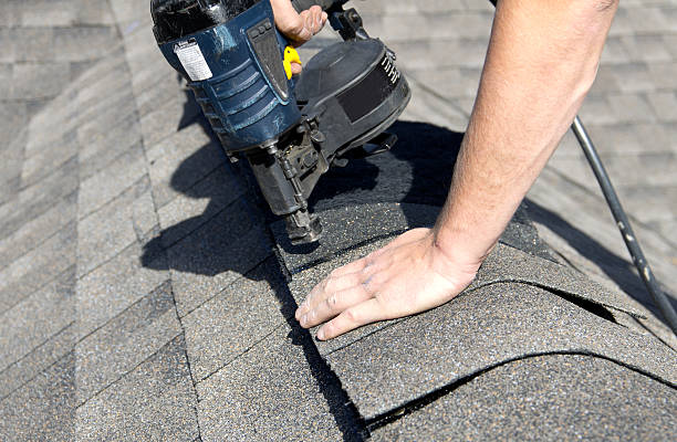 Best Roof Insulation Installation  in Sheridan, IL