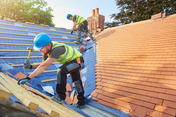 Best Roof Coating and Sealing  in Sheridan, IL