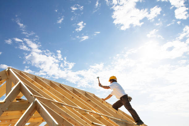 Best Roof Inspection  in Sheridan, IL